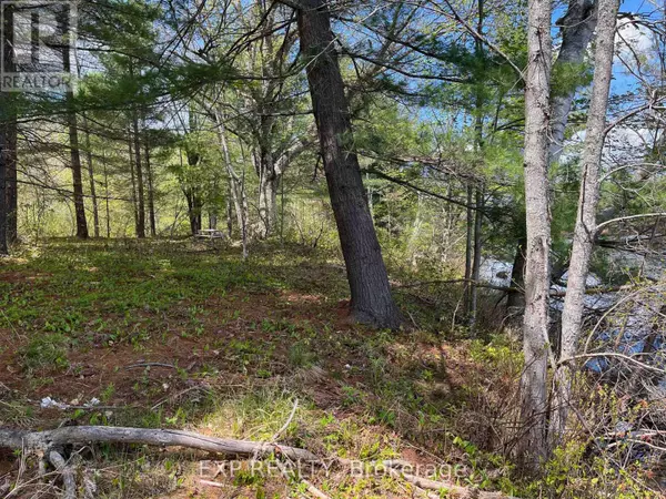 Madawaska Valley, ON K0J1B0,LOT 15 SANDY SHORES TRAIL