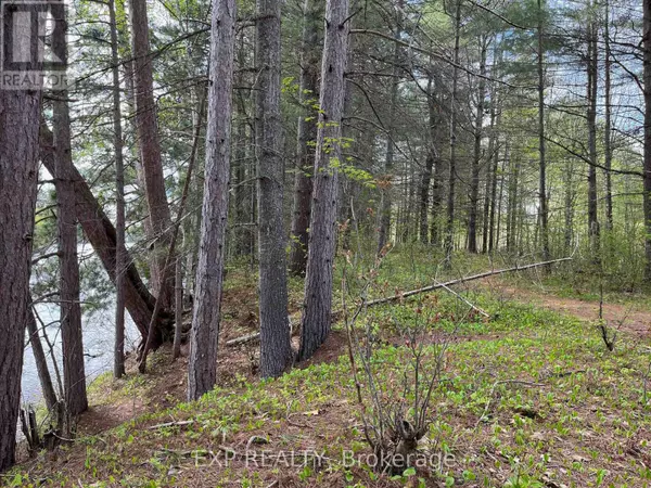 Madawaska Valley, ON K0J1B0,LOT 30 SANDY SHORES TRAIL