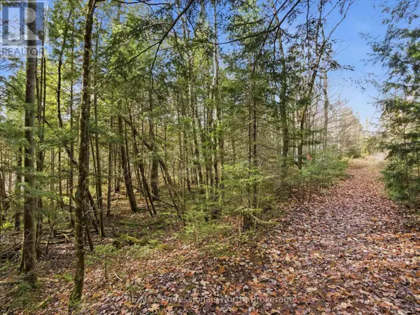 Huntsville (stephenson), ON P0B1M0,1087 STEPHENSON 2 ROAD W