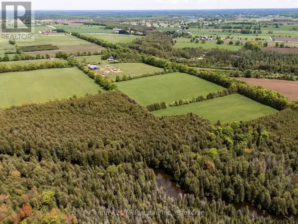 Grey Highlands, ON N0C1H0,525197 ARTEMESIA EUPHRASIA TOWNLINE