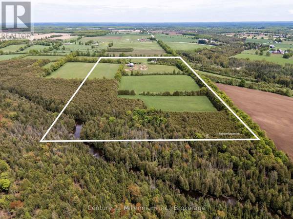 525197 ARTEMESIA EUPHRASIA TOWNLINE, Grey Highlands, ON N0C1H0