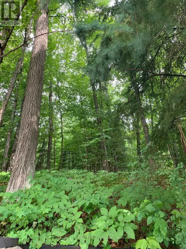 Bancroft (bancroft Ward), ON K0L1C0,198 GAEBEL ROAD