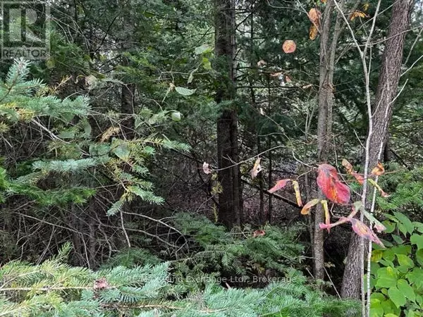 Saugeen Shores, ON N0H2L0,4 SHORE ROAD