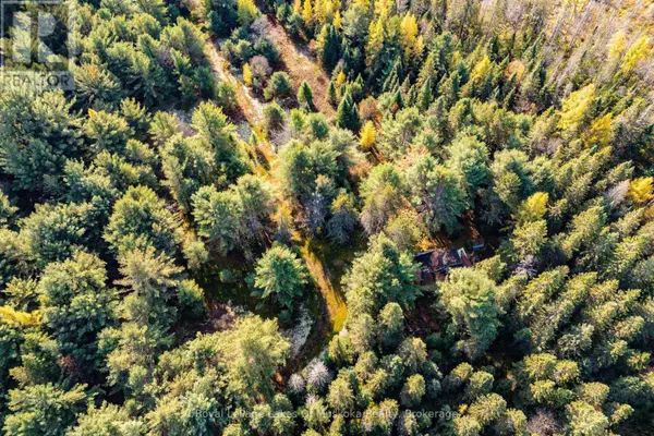 Huntsville (stisted), ON P0B1M0,321 CARDWELL LAKE ROAD