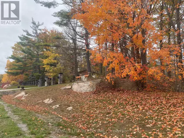 2943 COUNTY RD 36, Trent Lakes, ON K0L1J0