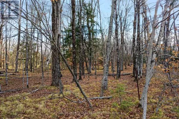 Lanark Highlands, ON K0G1K0,PT 1-00 HERRON MILLS ROAD