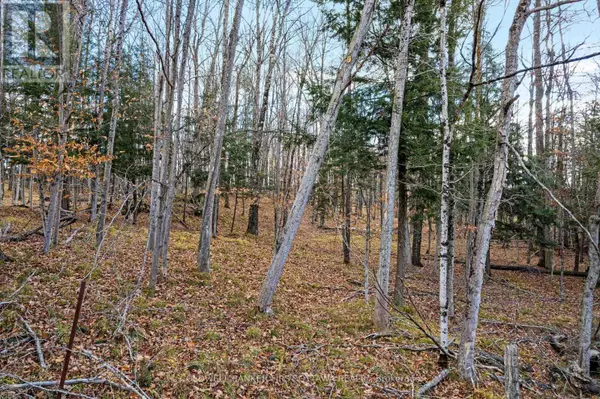 Lanark Highlands, ON K0G1K0,PT 1-00 HERRON MILLS ROAD