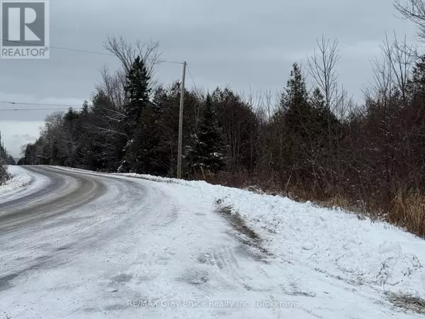 Northern Bruce Peninsula, ON N0H1W0,PTLT 37 SWAN LAKE LANE