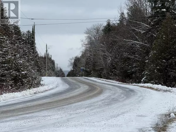 Northern Bruce Peninsula, ON N0H1W0,PTLT 37 SWAN LAKE LANE