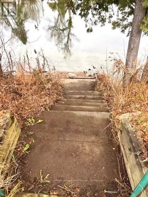 Minden Hills (lutterworth), ON K0M2K0,3 ANSON STREET