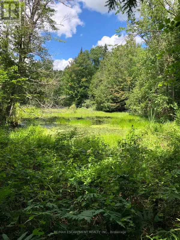 Grey Highlands, ON N0C1M0,LOT 31 8TH CONCESSION B