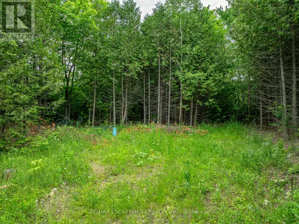 Grey Highlands, ON N0C1M0,LOT 31 8TH CONCESSION B