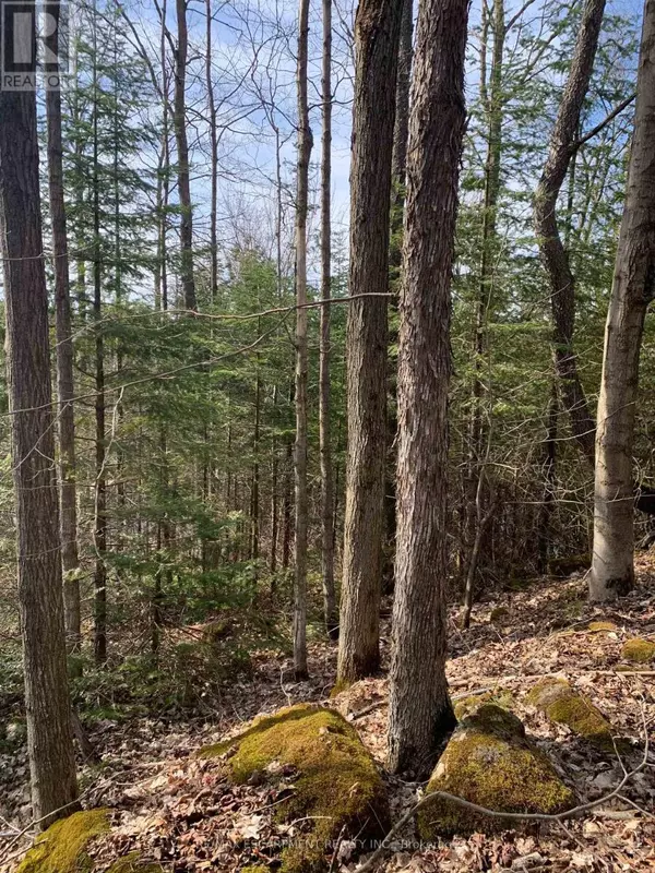 Grey Highlands, ON N0C1M0,LOT 31 8TH CONCESSION B