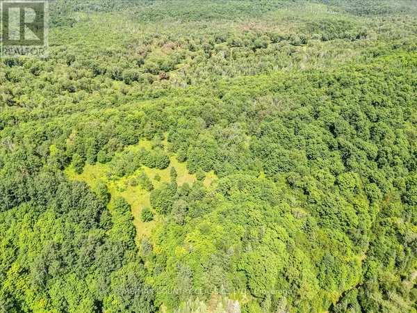 North Kawartha, ON K0L1A0,0 NORTH RUSAW ROAD