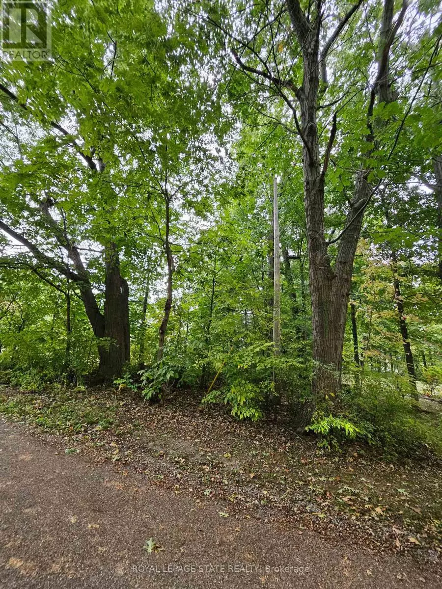 Fort Erie (ridgeway), ON L2A4R5,LOT 120 MOHAWK AVENUE