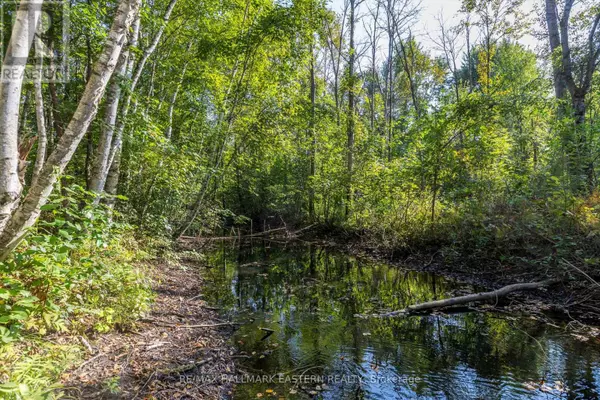 Trent Hills, ON K0L1Z0,LOT 13 TRENT RIVER ROAD