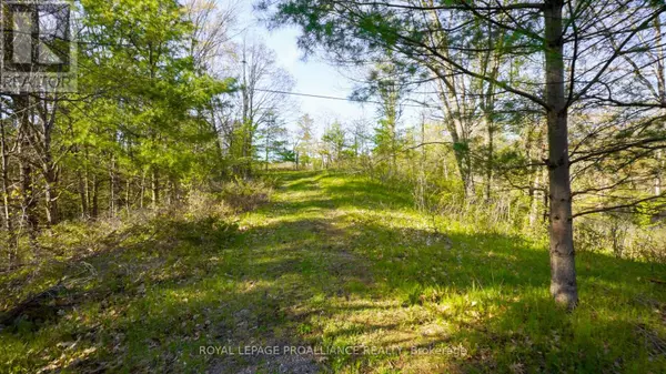 Westport, ON K0G1X0,PT LT 2 CREEK CROSSING LANE