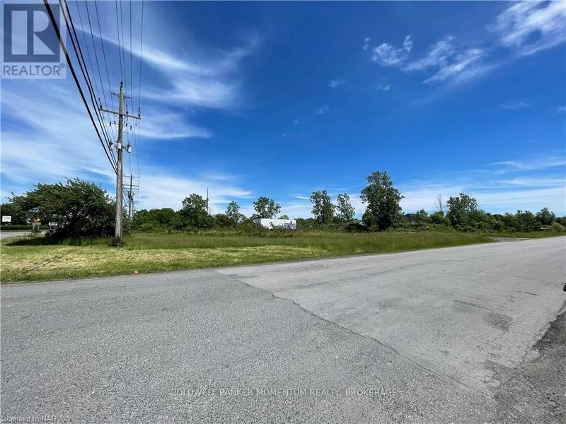 N/A CEMENT ROAD, Wainfleet (879 - Marshville/winger), ON L3K5V4