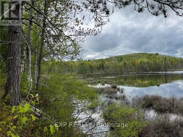 Madawaska Valley, ON K0J1B0,LOT 8 CASSON TRAIL