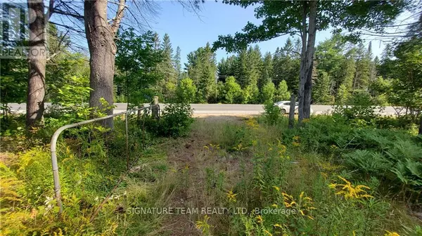 Madawaska Valley, ON K0J1B0,20185 HIGHWAY 60