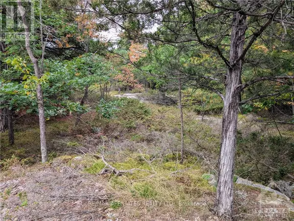 Rideau Lakes, ON K0G1X0,0 MOUNTAIN ROAD