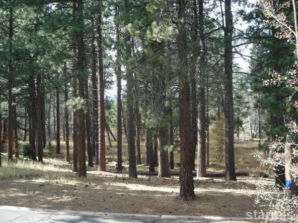 South Lake Tahoe, CA 96150,967 Silverwood Circle