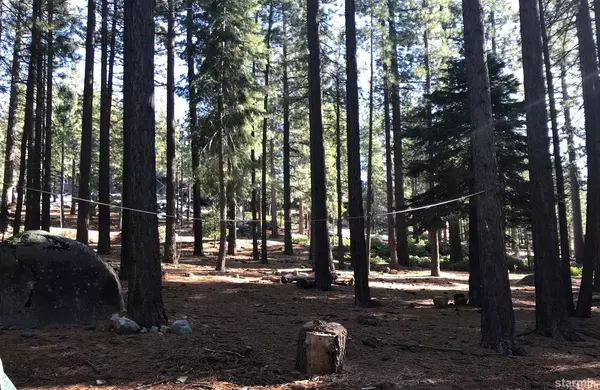 South Lake Tahoe, CA 96150,3764 Ruby Way