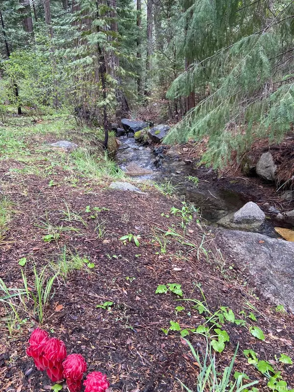 0 Squaw Rock Trail, Kyburz, CA 95720