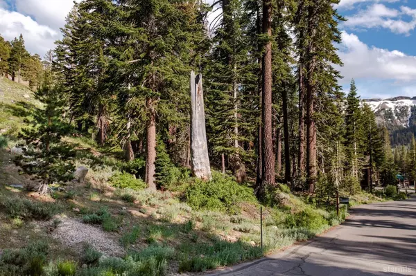 Kirkwood, CA 95646,123 Larkspur Drive #413