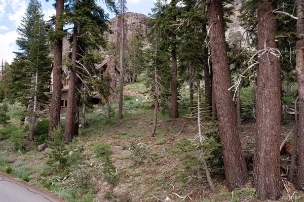 Kirkwood, CA 95646,123 Larkspur Drive #413