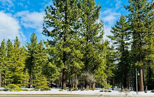 South Lake Tahoe, CA 96150,3091 Harrison Avenue