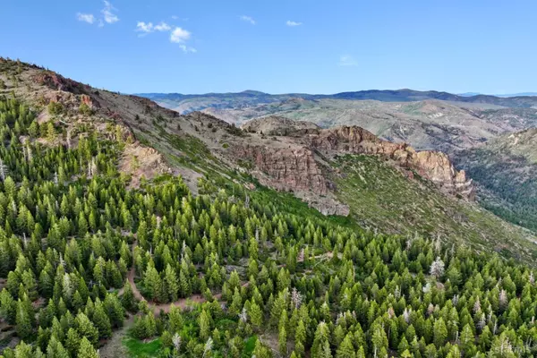 Markleeville, CA 96120,7000 indian creek