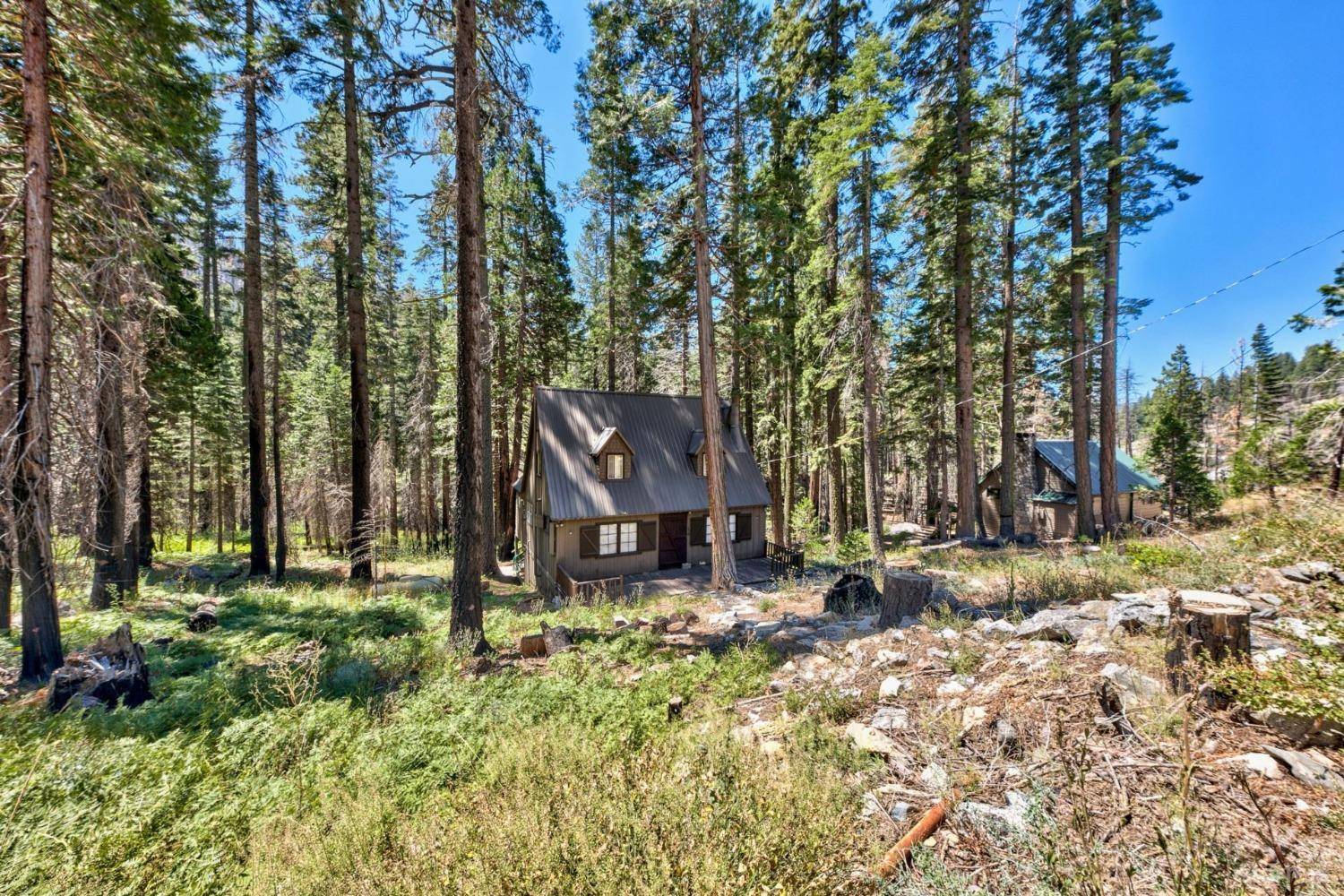 6044 41 Milestone Road #42, Kyburz, CA 95720