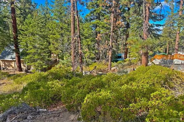 South Lake Tahoe, CA 96150,3910 Larch Avenue