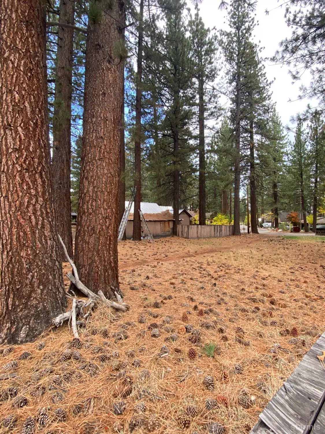 South Lake Tahoe, CA 96150,1153 Omalley Drive