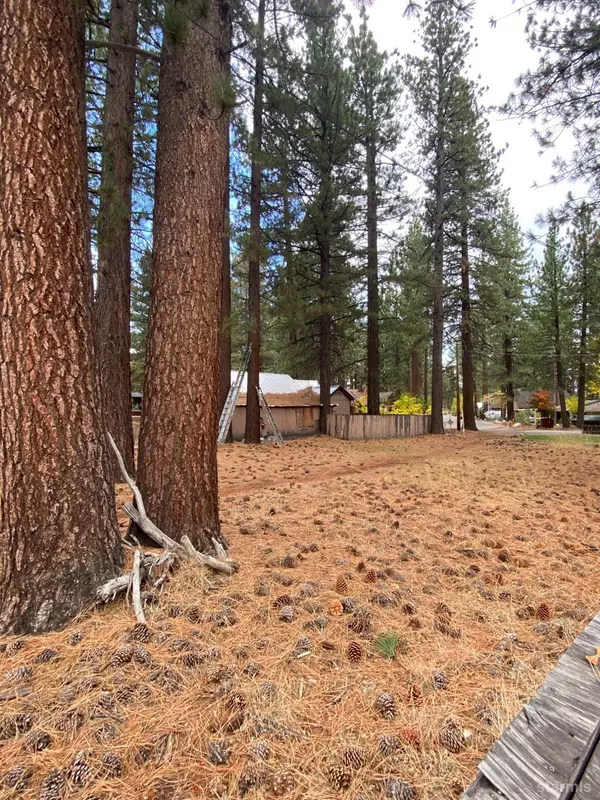 1153 Omalley Drive, South Lake Tahoe, CA 96150