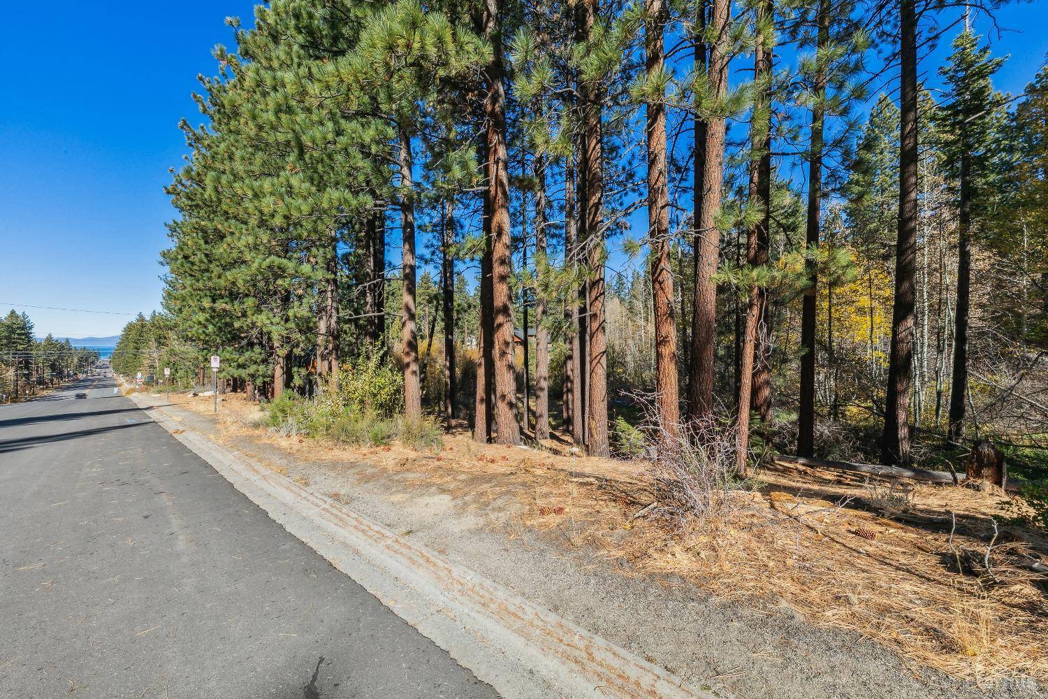1389 Ski Run Boulevard, South Lake Tahoe, CA 96150