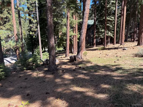 South Lake Tahoe, CA 96150,0 Wagon Train Trail