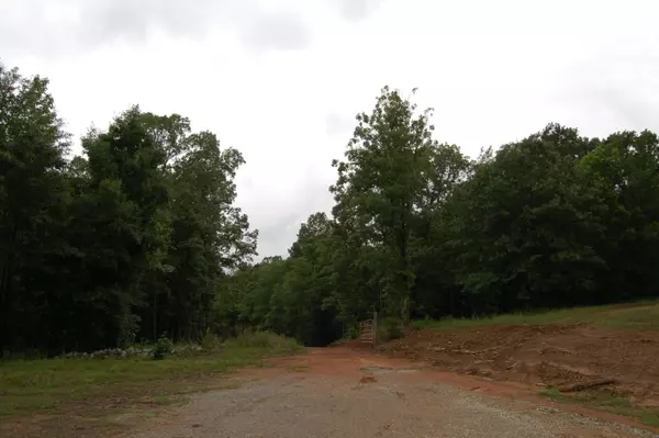 Lot # 10 Torrington Hills Dr., New Albany, MS 38652