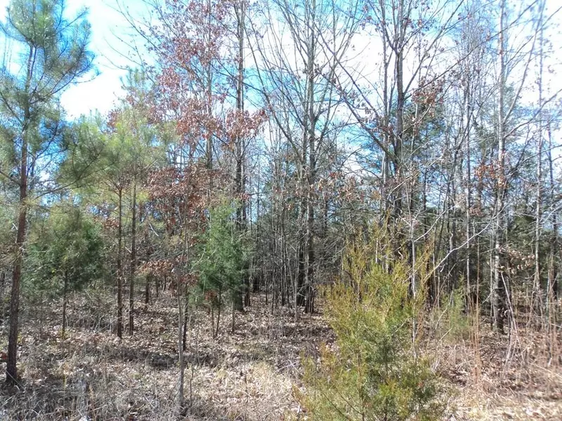 32633 N Hwy 45, Aberdeen, MS 39730