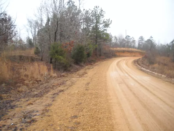 Brown Taylor Road, Amory, MS 38821