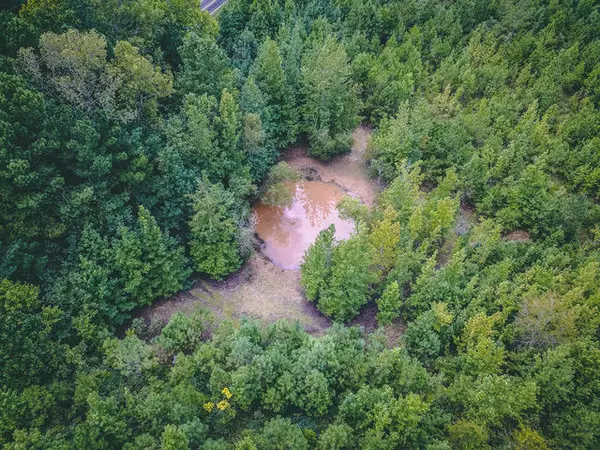 Corinth, MS 38834,Forrest School Road