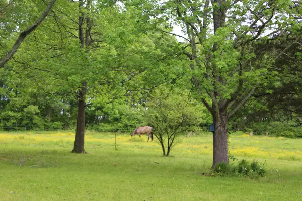 Guntown, MS 38849,289 Euclatubba Road