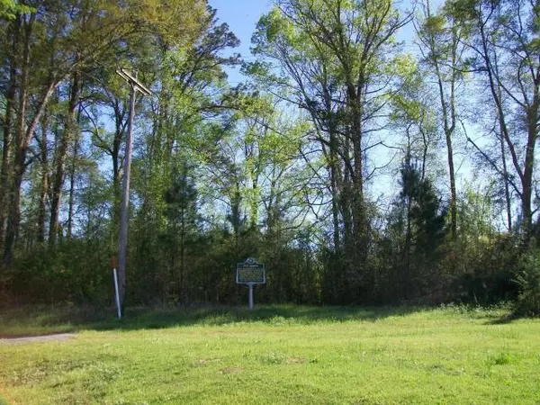 Nettleton, MS 38858,(2 acres) Van Buren Road