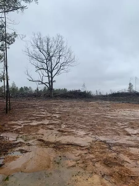 Hwy 32, Okolona, MS 38860