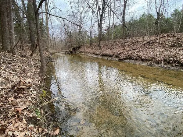 Baldwyn, MS 38824,CR 166