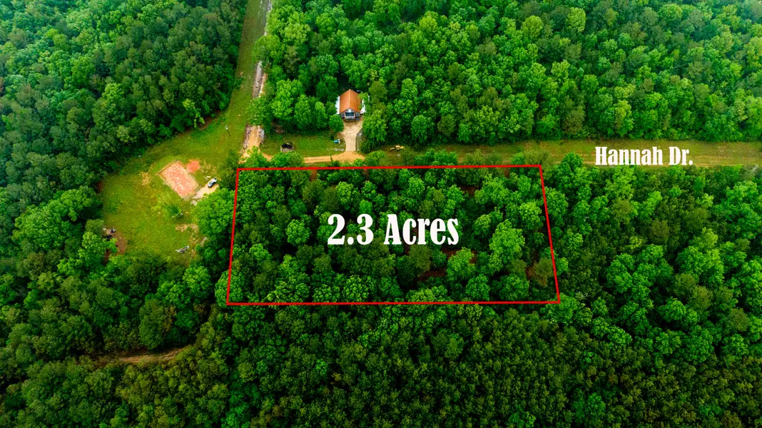 Hannah Drive Road, Aberdeen, MS 39730