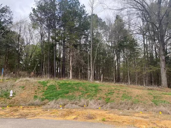 Tupelo, MS 38801,Lot 51 Rock Creek Dr.