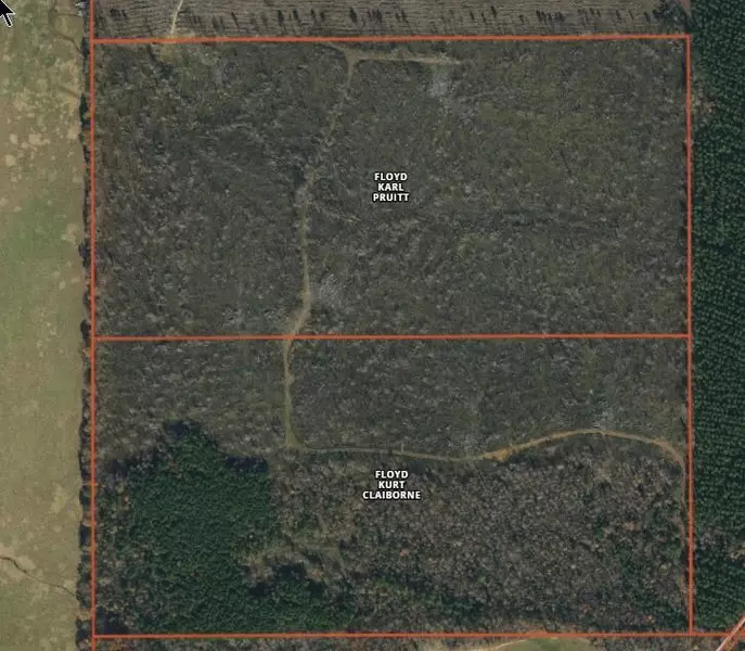 CR 254, Houston, MS 38851