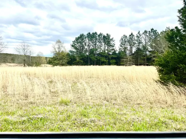 New Albany, MS 38652,BRYAN  LOT  4 St.